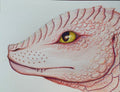 Pink Sea Dragon Print