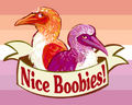 Nice Boobies! Print