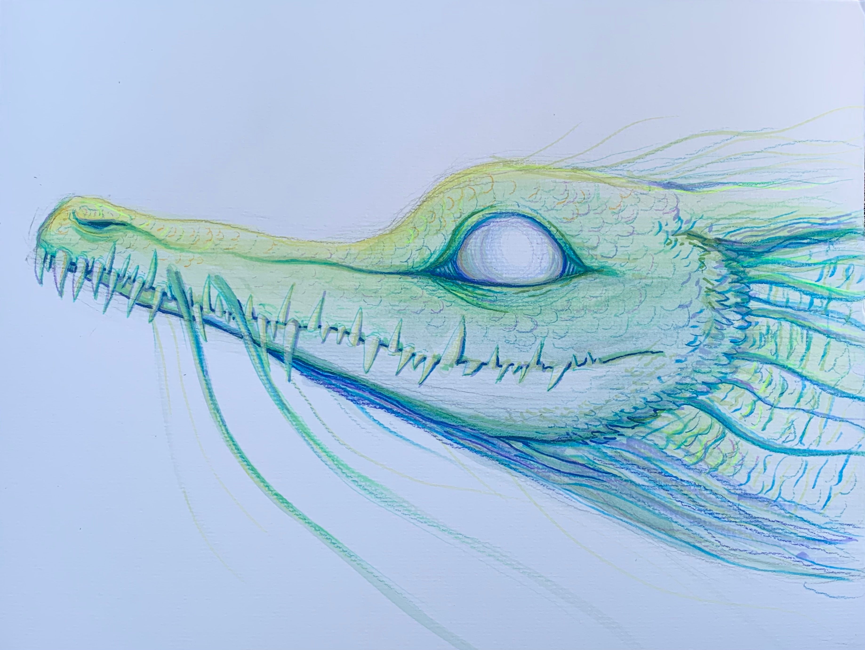 Deep Sea Dragon Print